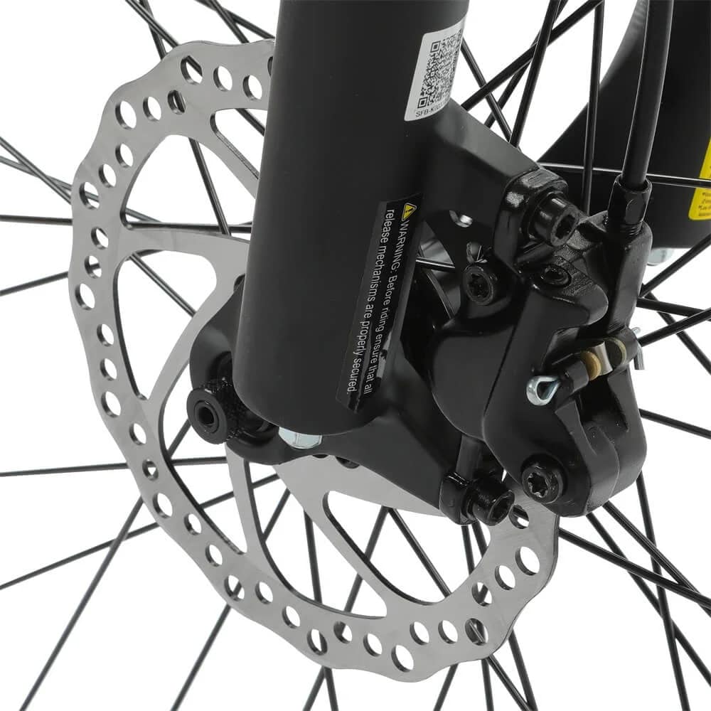 Ecotric electric bike Seagull Mountain Bicycle